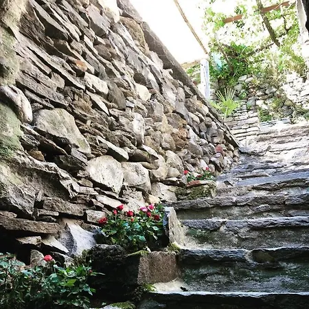 Bed & Breakfast Osteria Morganti *