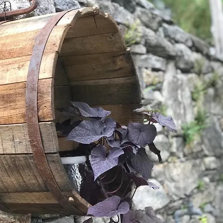 Osteria Morganti *
