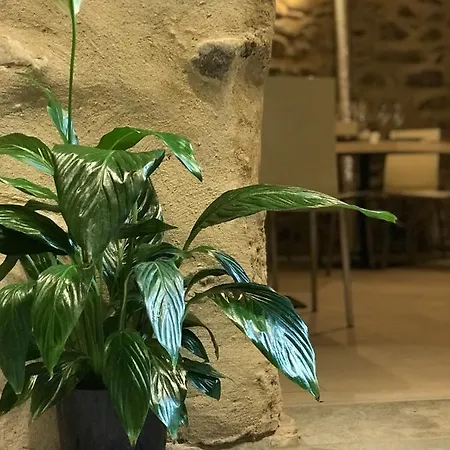 Osteria Morganti *