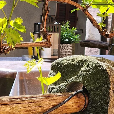 Frühstückspension Osteria Morganti *